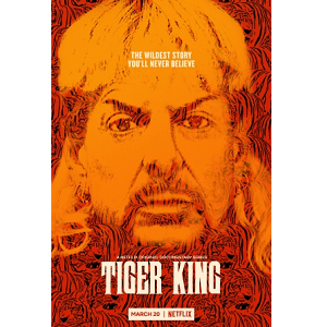 Review „Großkatzen und ihre Raubtiere“