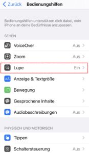 iOS Lupe über Tasten aktivieren