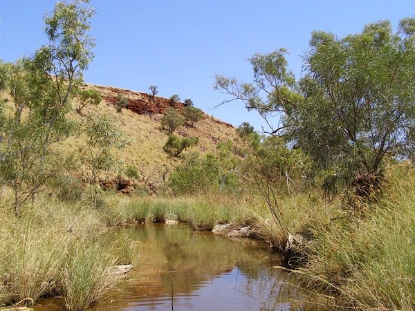 Hamersley Range, Pilbara Region von Barry T. Coles