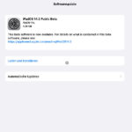 iOS 14.2 Beta iPadOS 14.2 Beta