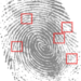 Fingerprint