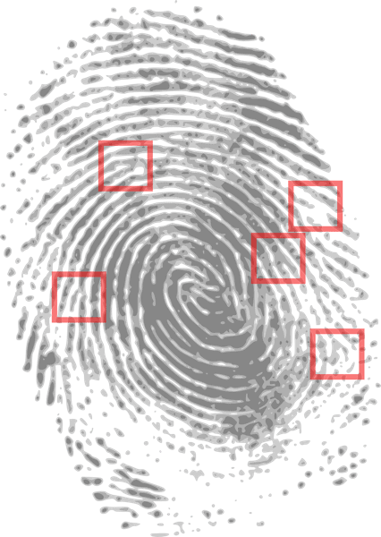 Fingerprint