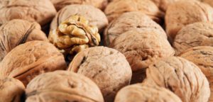 Peeled Walnut - © Michael Heinbockel