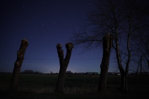 Fährmannssand - Weihnachten