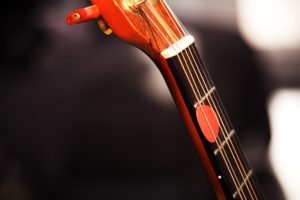 Guitar - Fotografie