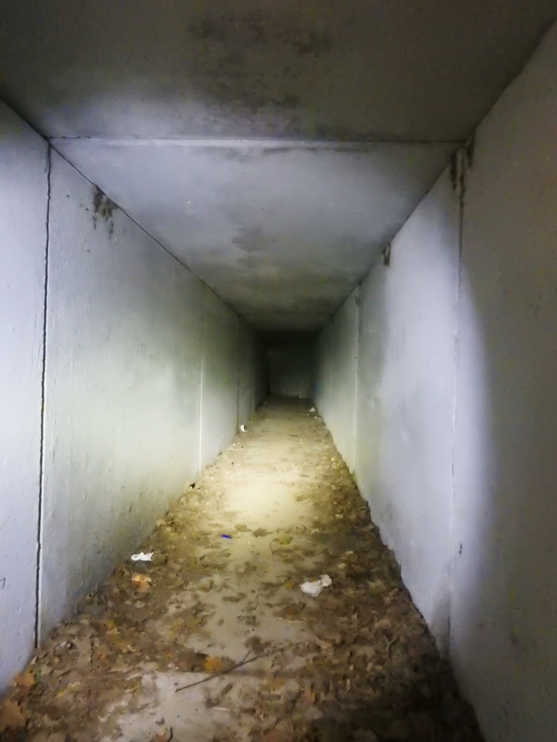 SAS Tunnel 2